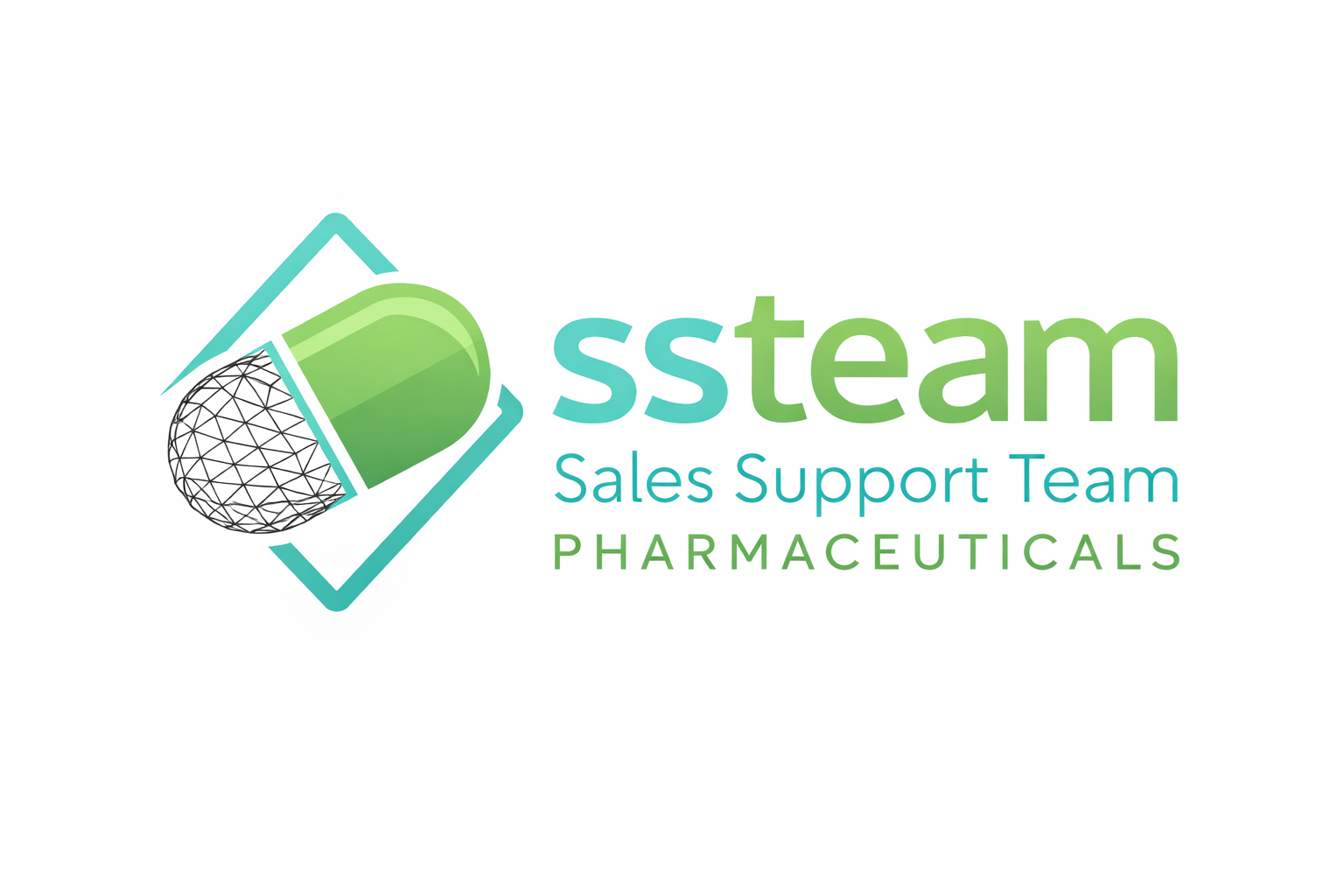 SSTeam Logo
